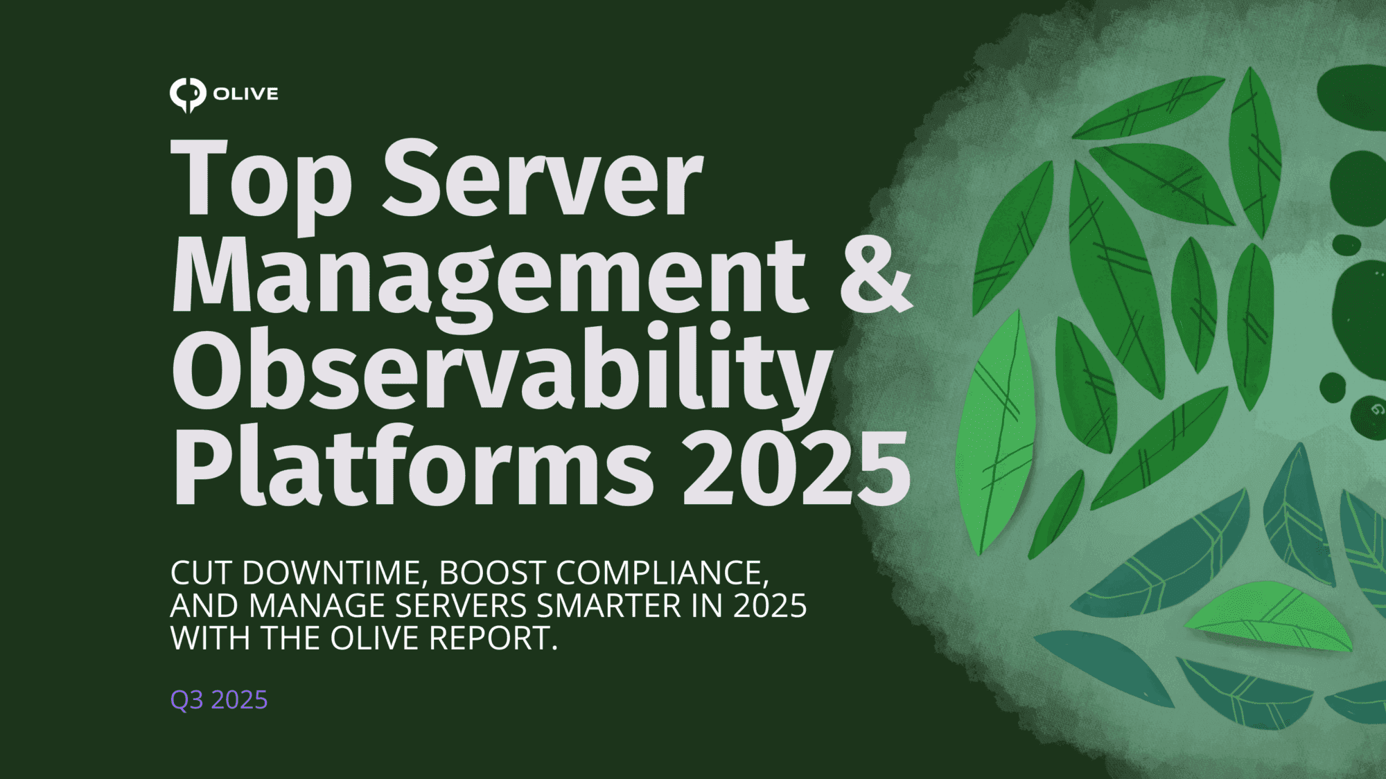 Top Server Management Software in 2025