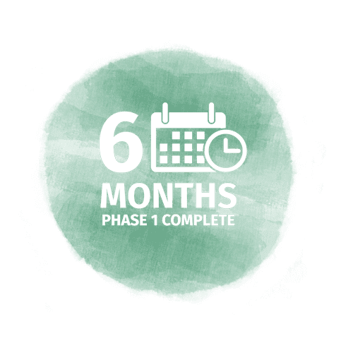 6 Months: Phase 1 Complete