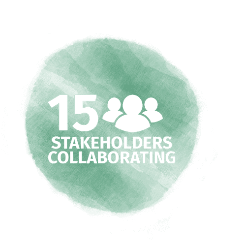 15 Stakeholders Collaborating